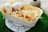 Комплект: Лоток Л-11 из дерева 200*140*75 + древесная шерсть  - фото