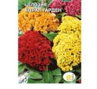 цветок Целозия Корал гарден (гребенчатая, низкорослая смесь цветов) (Евро, 0,2)  - фото