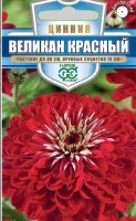 Цинния Великан красный 0,3 г серия Русский богатырь   - фото