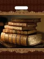 Сумка-пакет 40*31 с прорубной ручкой Книги NEW, 50 шт Коричневый - фото
