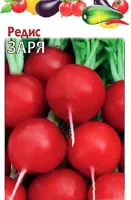 Редис Заря (МФ, 3)  - фото