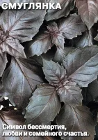 ДУ базилик Смуглянка (Евро, 0,2)  - фото