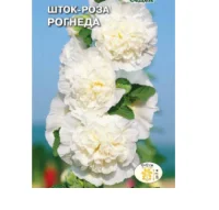 цветок Шток-роза Рогнеда (белая) (Евро, 0,1)  - фото