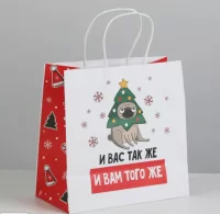 Пакет подарочный «Это лучше, чем ничего», 22 × 22 × 11 см   6249088 (300) Дарите счастье  - фото