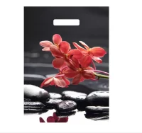 Сумка-пакет 40*31 с прорубной ручкой ламинированный. Гармония Разноцветный - фото