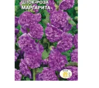 цветок Шток-роза Маргарита (фиолетовая) (Евро, 0,1)  - фото