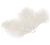 Перья, Премиум, Белый, 12-15 см, 30 шт.  - фото