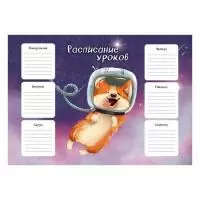 Расписание уроков "КОСМО КОРГИ" А4  - фото