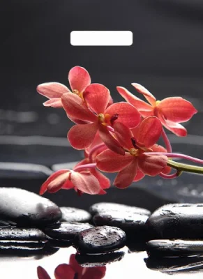 ТЦ 10шт Сумка-пакет 40*31 прор.ручкой Микс  - фото