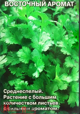 кориандр Восточный Аромат (Евро, 2)  - фото