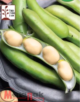 Бобы Велена (Евро, 10)  - фото