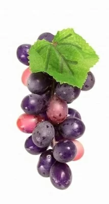 Гроздь винограда Разноцветный - фото