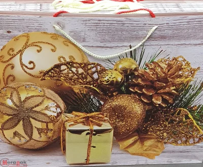 Пакет подар.бум.с руч 41.5*53*15.5 Люкс с блест НГ N316 (144/12)  - фото