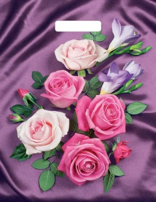 ТЦ 10шт Сумка-пакет 40*31 прор.ручкой Микс  - фото