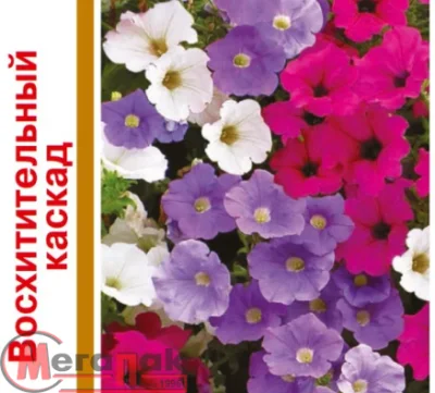Петуния Восхитительный каскад, смесь, пробирка 10 шт. серия 1+1 DH  - фото