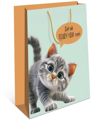 Пакет подар.бум ламин. 260*320*120  в ас-те 0193.372/376/380/383/384/389/395/398/405/419/426/427 Микс - фото