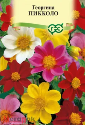 Георгина Пикколо, смесь 0,3 г DH  - фото