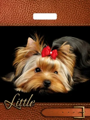 ТЦ 10шт Сумка-пакет 40*31 прор.ручкой Микс  - фото