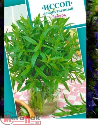 пряность Иссоп Лекарь (Евро, 0,2)  - фото