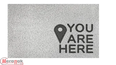 Коврик придверный Dekorelle LAPSHA 104 You Are Here, 50X80см, 121104 (серый) Серый - фото
