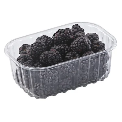 Контейнер перфор. Т3-250/52 АБ (143*96*52) 1/50 (48), 853870 Прозрачный - фото