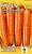 Морковь Базель F1 150 шт. (Голландия)  - фото