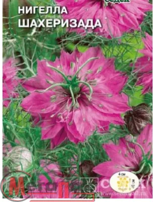 цветок Нигелла Шахеризада (дамасская, ярко-розовая) (Евро, 1)  - фото
