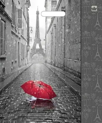 ТЦ50штСумка-пакет 38*47 прор.ручка лам Мой Париж  - фото