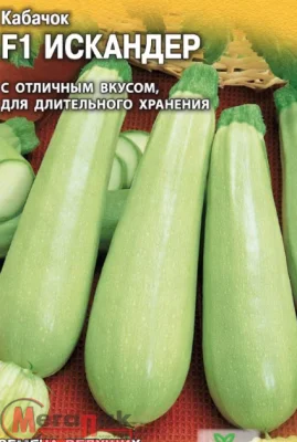 Кабачок Искандер F1 5 шт. (Голландия) Кабачок Искандер F1 5 шт. (Голландия)  - фото