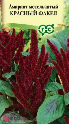Амарант Красный факел (метельчатый)* 0,2 г Амарант Красный факел (метельчатый)* 0,2 г  - фото
