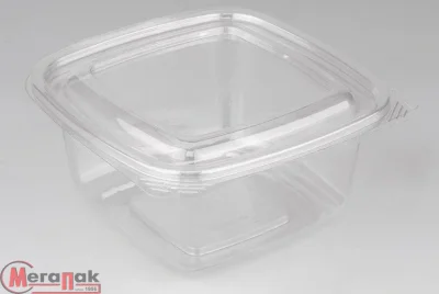 Контейнер СпК-137-500мл  10 шт Прозрачный - фото