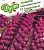Капуста брюссел. Гранатовый браслет F1 0,1 г автор.  - фото