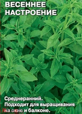 Базилик Весеннее Настроение 0,2 г (МФ, 0,2) Базилик Весеннее Настроение 0,2 г (МФ, 0,2)  - фото