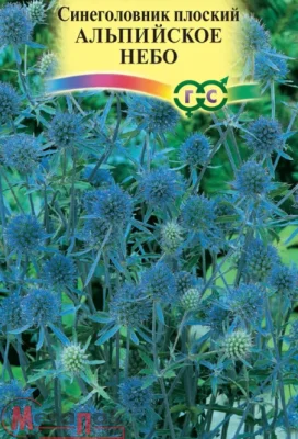 Синеголовник альпийский Альпийское небо 0,05 г Синеголовник альпийский Альпийское небо 0,05 г  - фото