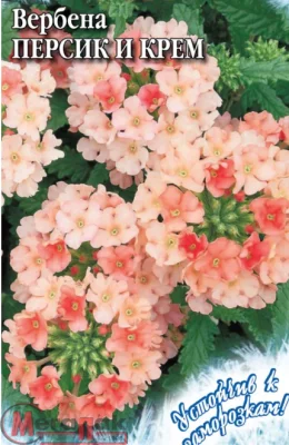 Вербена Персик и Крем, гибридная* 0,05 г серия Устойчив к заморозкам!  - фото