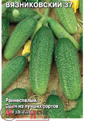 ДУ огурец Вязниковский 37 о/г (Евро, 0,5) ДУ огурец Вязниковский 37 о/г (Евро, 0,5)  - фото