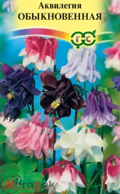 Аквилегия Обыкновенная смесь*  0,05  г Аквилегия Обыкновенная смесь*  0,05  г  - фото