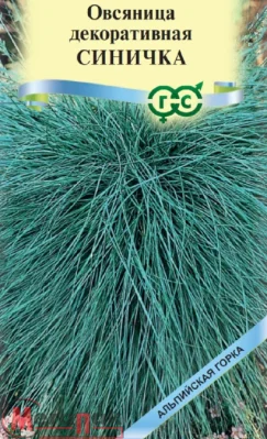 Овсяница Синичка, декоративная (сизая ледниковая) 0,1 г серия Альпийская горка Овсяница Синичка, декоративная (сизая ледниковая) 0,1 г серия Альпийская горка  - фото