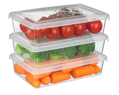 Комплект контейнеров для заморозки "Asti" прямоугольных 0,75л х 3 шт. (бесцветный), арт. 221100801/00 Прозрачный - фото