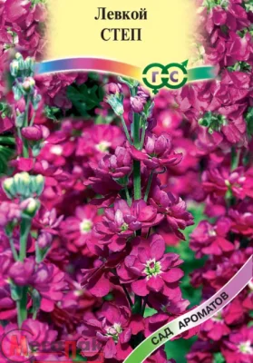 Левкой седой Степ* 0,05 г серия Сад ароматов  - фото