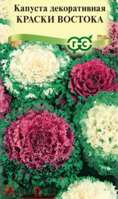 Капуста декоративная Краски востока* 0,05 г DH  - фото