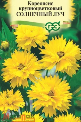 Кореопсис Солнечный луч  (крупноцветковый) 0,1 г Кореопсис Солнечный луч  (крупноцветковый) 0,1 г  - фото