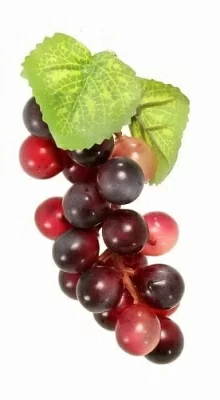 Гроздь винограда Разноцветный - фото