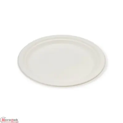 Тарелка эко овальная 263х199x20  Р201 1/50 Белый - фото
