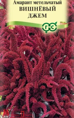 Амарант Вишневый джем (метельчатый)* 0,1 г Амарант Вишневый джем (метельчатый)* 0,1 г  - фото