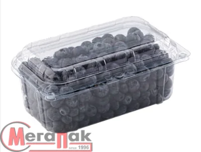 Контейнер перфор. с крышкой ТL1-500/58/20 АБ (190*117*82), 10шт/уп Прозрачный - фото