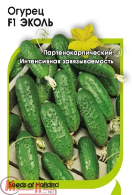 Огурец Эколь F1 5 шт. (Голландия)  - фото