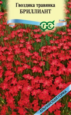 Гвоздика травянка Бриллиант* 0,05 г серия Альпийская горка Гвоздика травянка Бриллиант* 0,05 г серия Альпийская горка  - фото