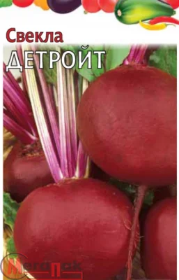 ДУ свёкла Детройт (столовая) (Евро, 3) ДУ свёкла Детройт (столовая) (Евро, 3)  - фото