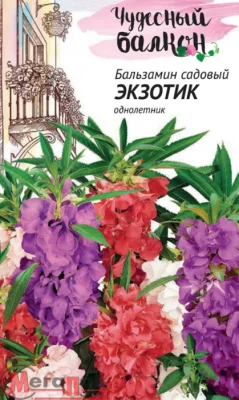 Бальзамин Экзотик (садовый) карлик.*  0,1 г серия Чудесный балкон DH Бальзамин Экзотик (садовый) карлик.*  0,1 г серия Чудесный балкон DH  - фото